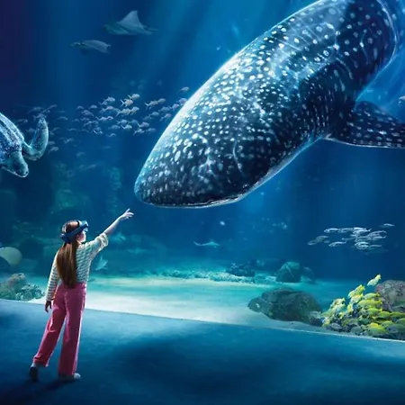 Le Sunny-appartement Duplex Spacieux * Outreau