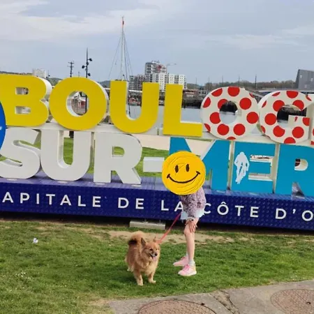 Daire Le Sunny-duplex Cosy 2 Cote D'opale